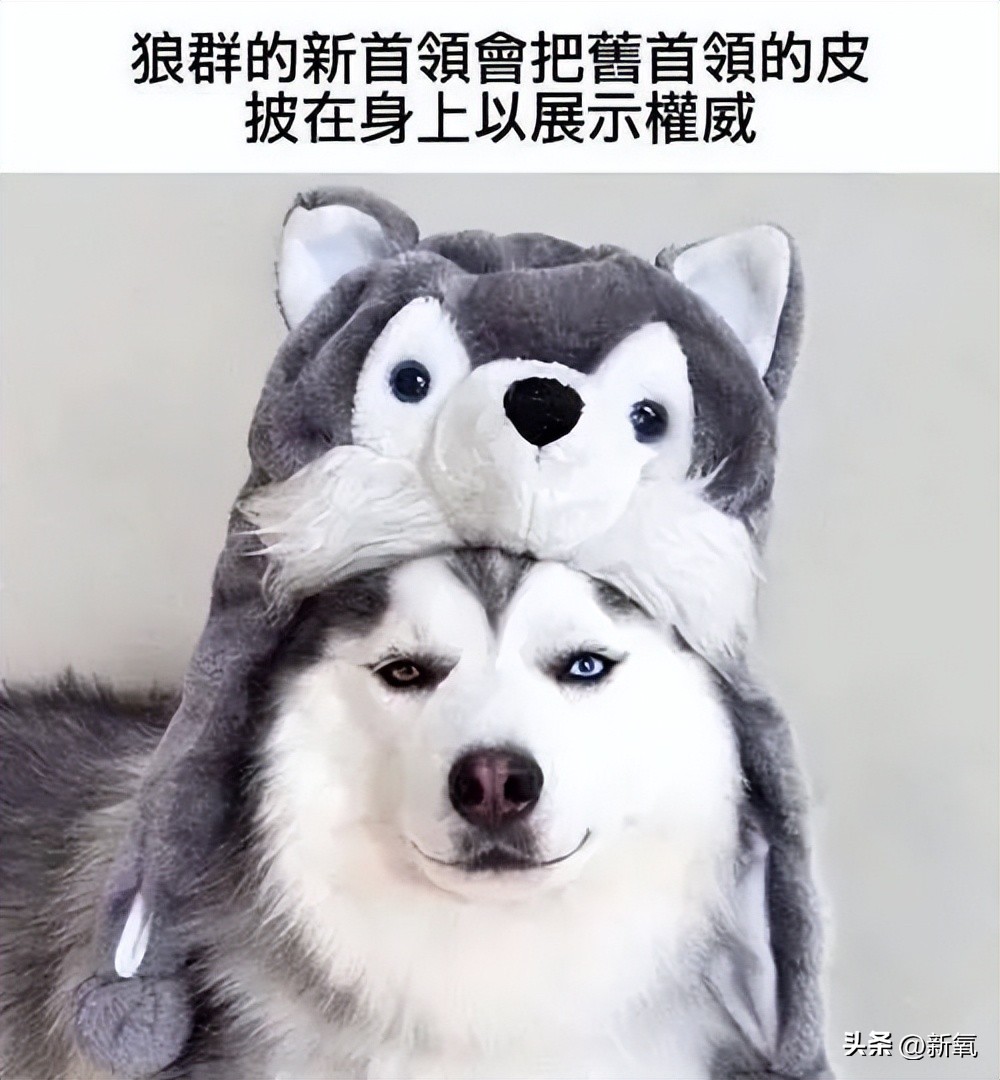 如何好好说话掌握说话技巧,日常各种经典场合的说话技巧