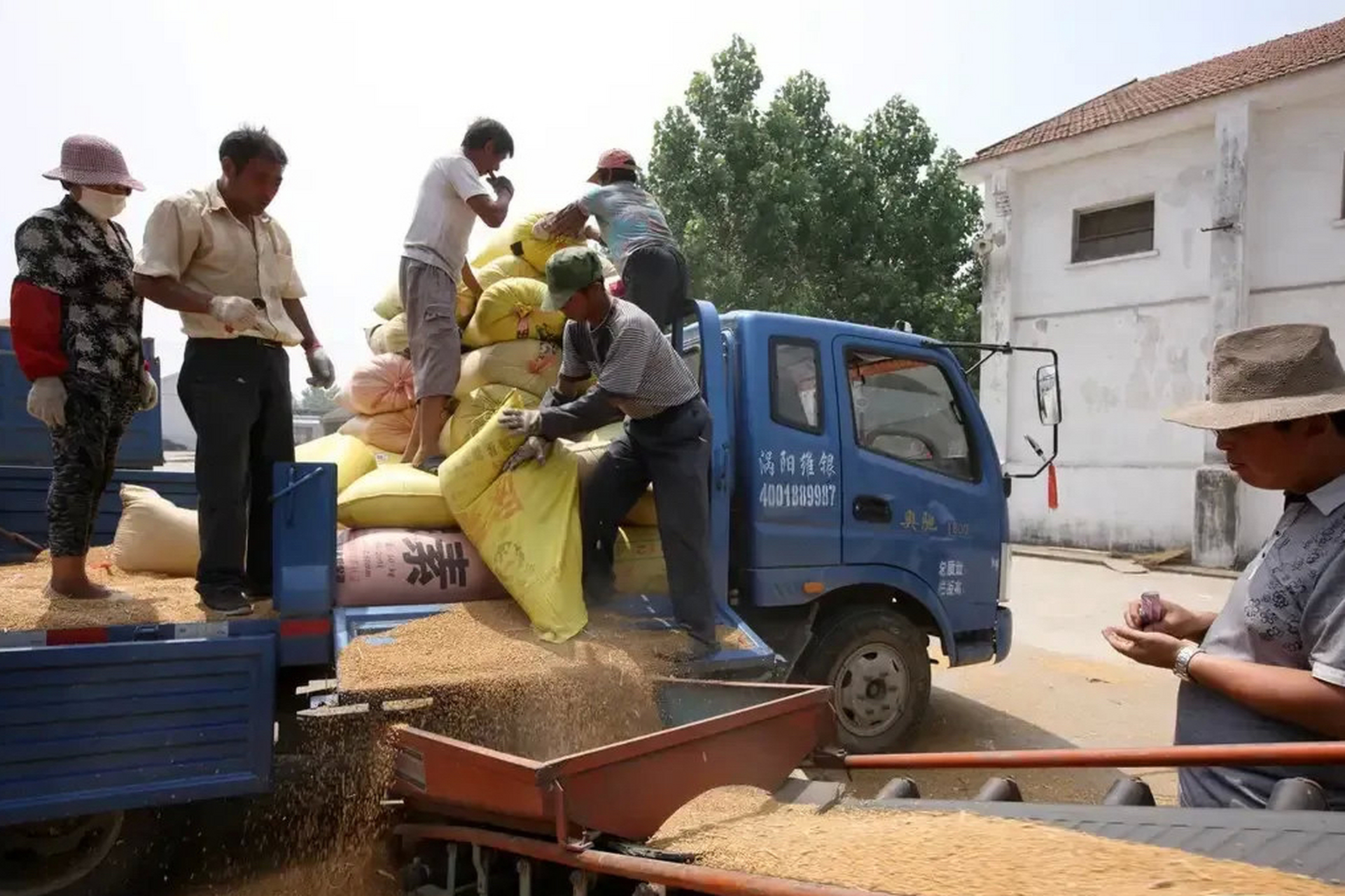 美国对华粮食援助,如果美国不出口粮食给中国会怎样