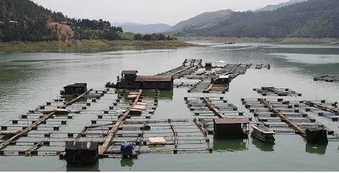 农村搞养殖能赚钱吗,农村养殖什么不愁销路且利润大