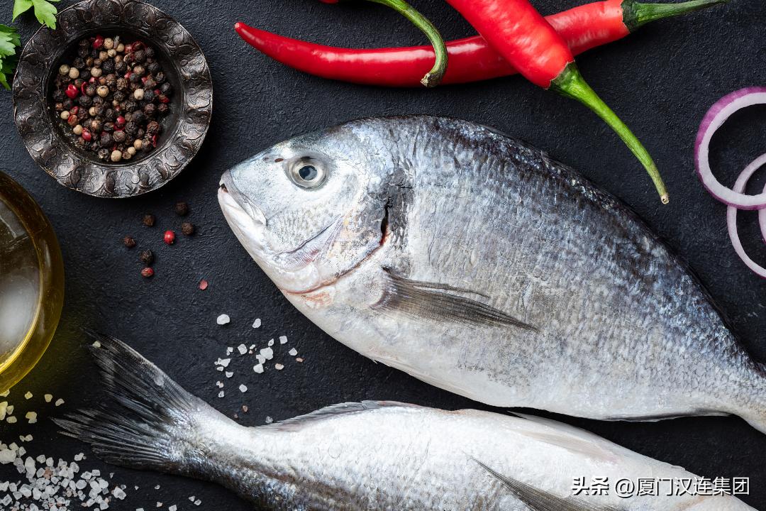 输韩水生动物通关要求提出了更高标准，带你了解出口全流程！