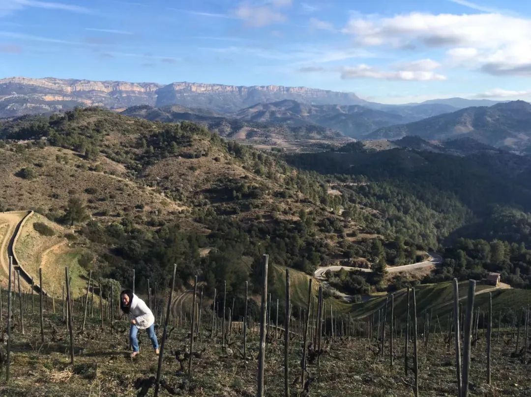 专访DianaHan|在负责西班牙酒推广项目时，一个report写上百页