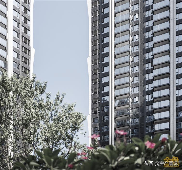 高端豪宅区域价值,大区实力排名