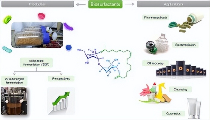 子囊菌门真菌：生物表面活性剂的有益生产者