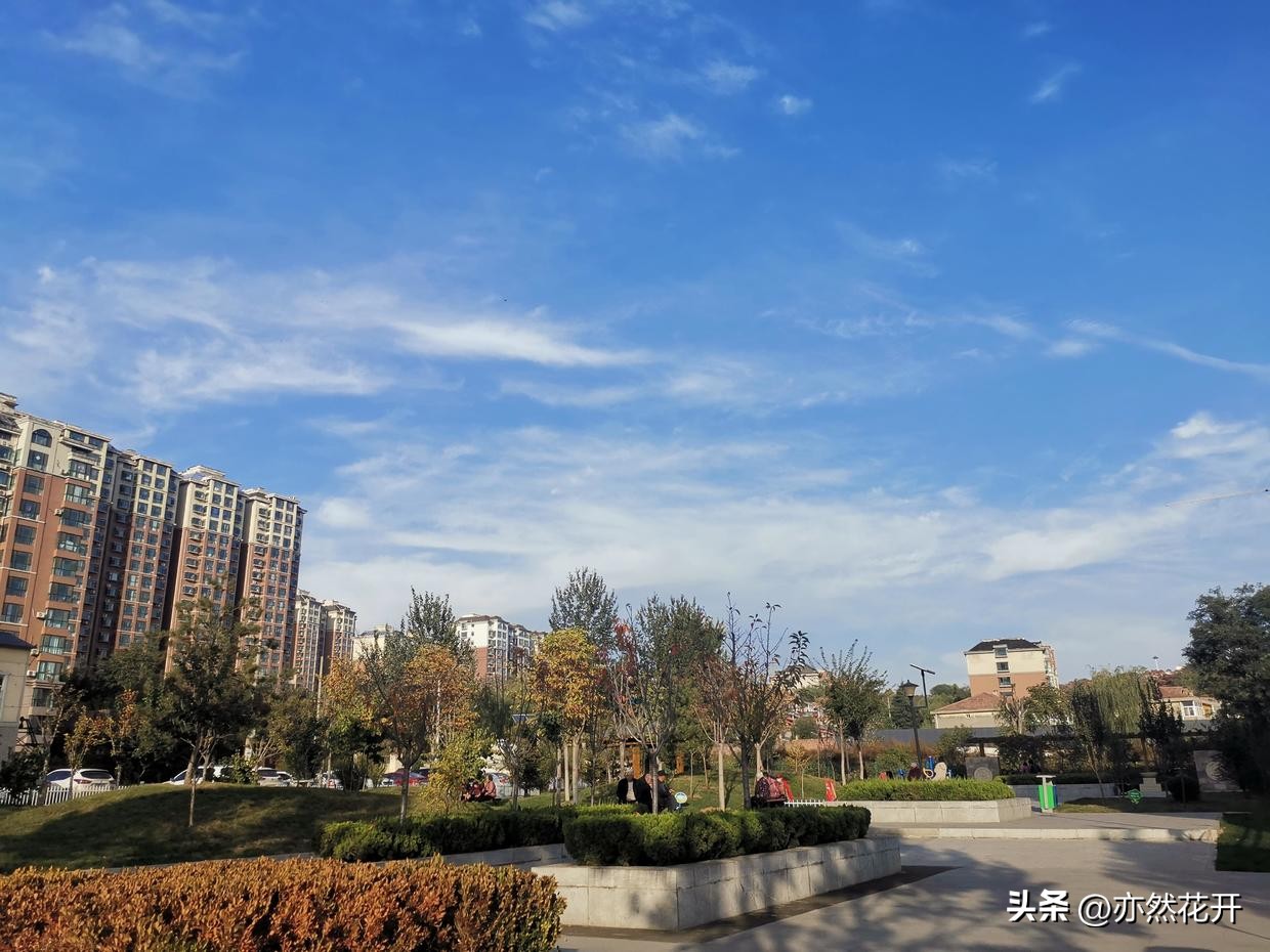 职场上报告怎么写范文,职场申请书的正确格式