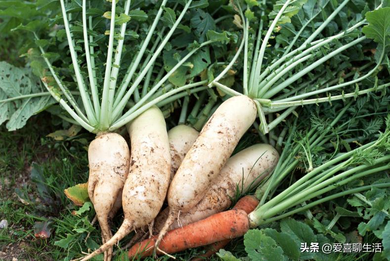 春季，6种蔬菜晒干比新鲜的更好吃，炒菜做饭特别香，还久放不坏