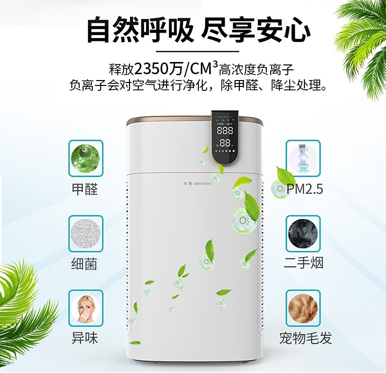 负离子空气净化器哪一款最好,负离子空气净化器排名前十