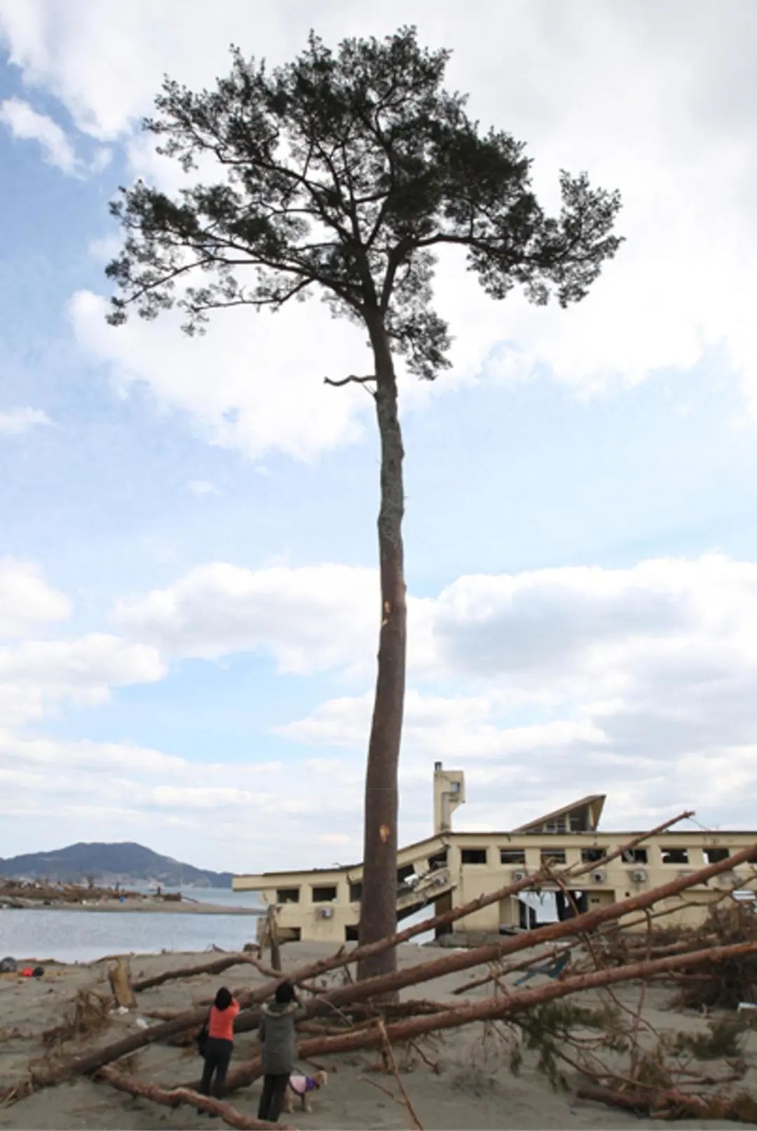 日本311大地震中文纪录片,日本3.11大地震真实影像