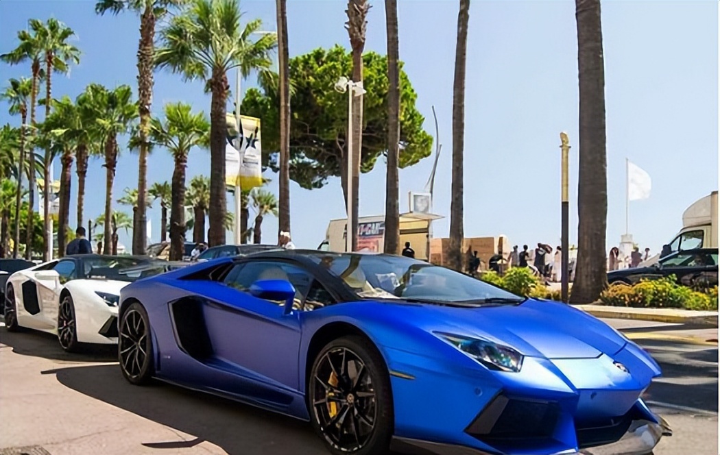 刘德华说谢娜脑筋有问题原视频,康辉刘德华评价谢娜