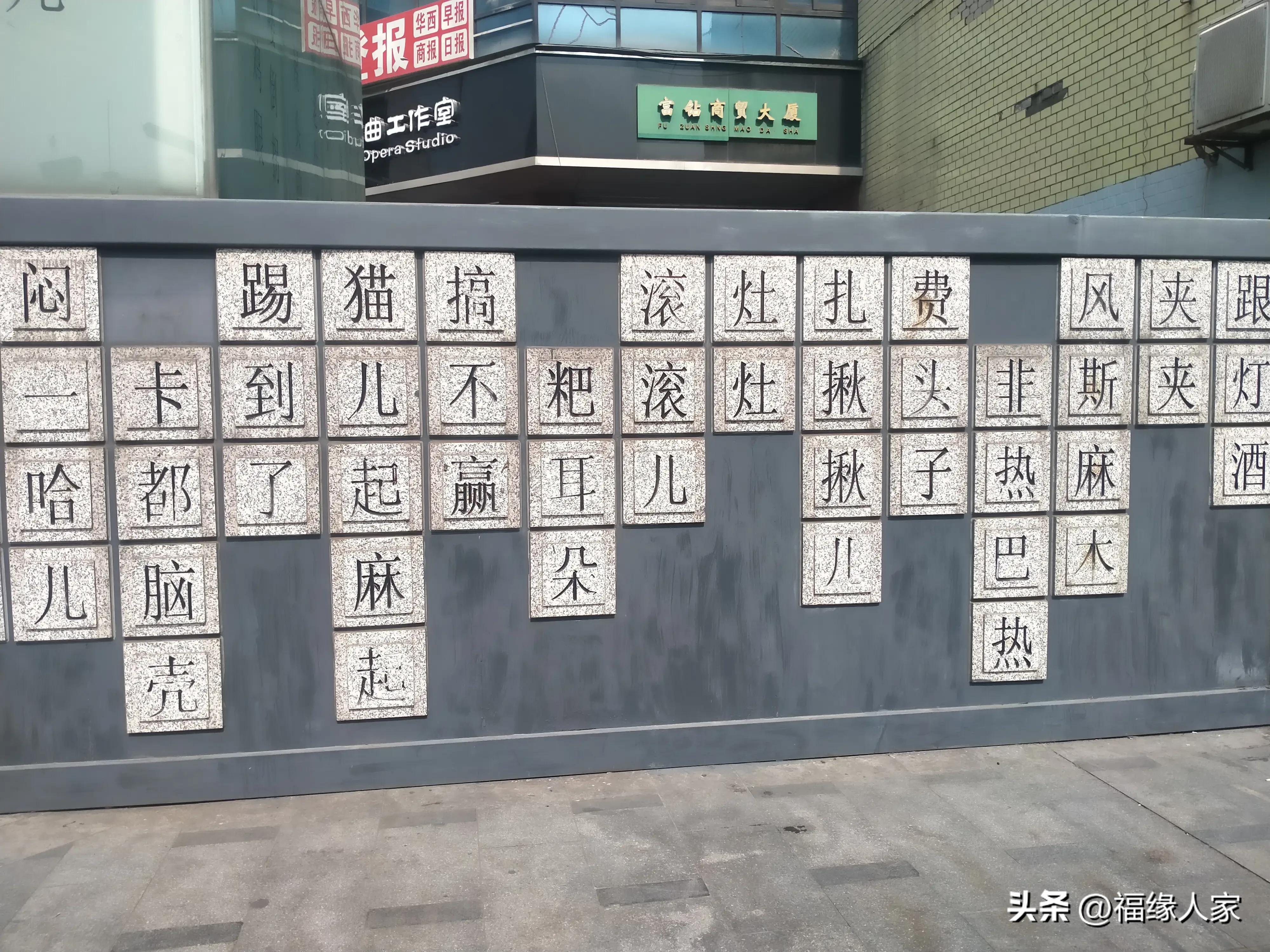 天不怕地不怕就怕蔡少芬讲普通话,什么都不怕就怕四川人说四川话