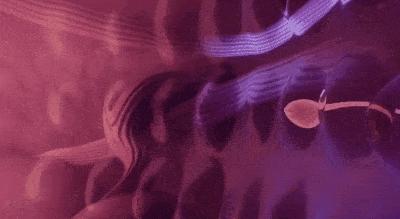 孩子会不会长得像前男友？那些没有成功的精子，最终去了哪里？