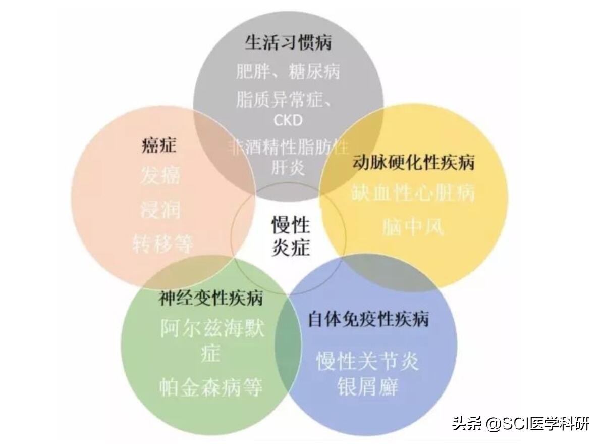 为什么年纪轻轻白发越白越多,45岁80%的头发白了是什么原因