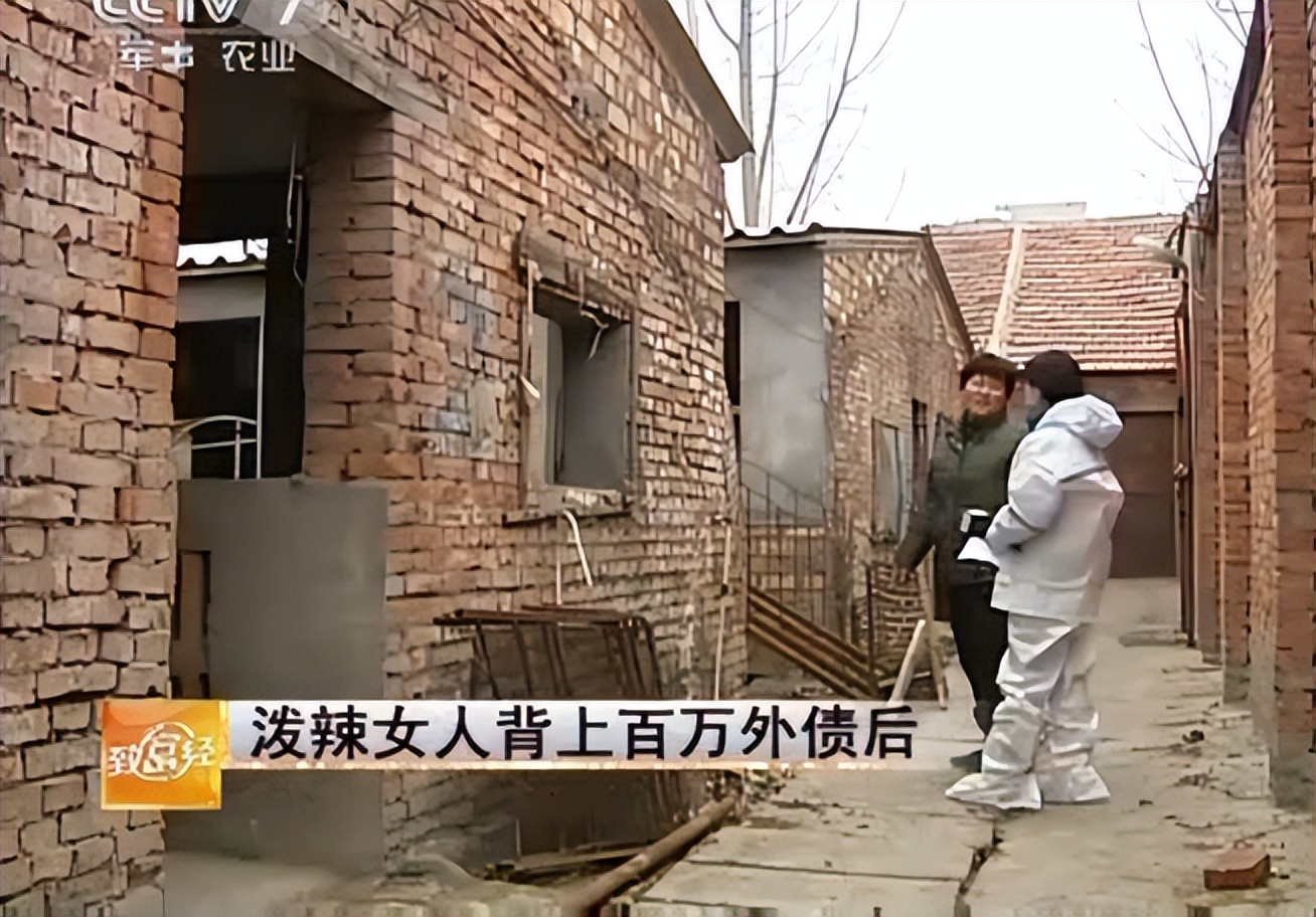 河南大姐为提高猪仔存活率，用白酒喂母猪，年入千万，有何玄机？