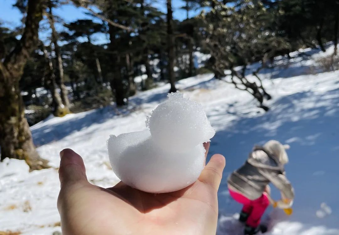 冬季洱海看海鸥最佳地方,这个冬天洱海该有多浪漫