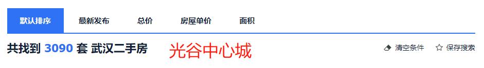 光谷东有哪些房产中介,光谷东房产现状