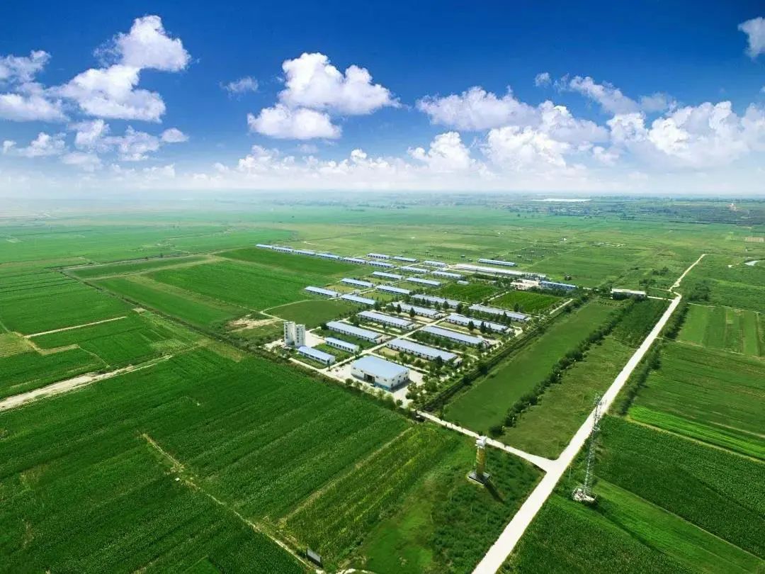 有机羊奶真的有机吗,有机羊奶哪里的最好