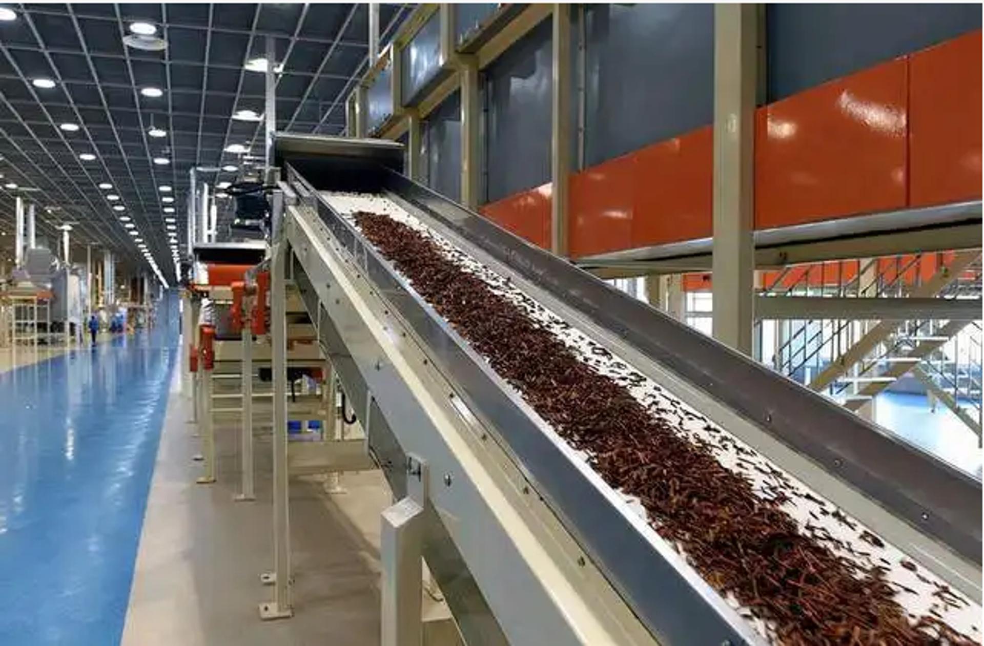 福建人实力怎么样,福建人哪个市经商最厉害