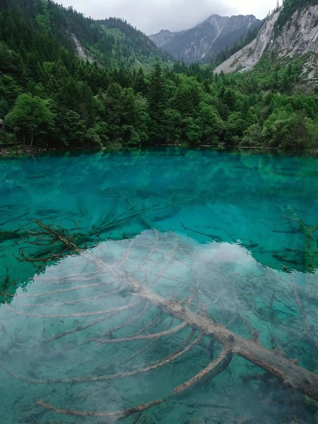 日本园林的意境,日式园林的禅意