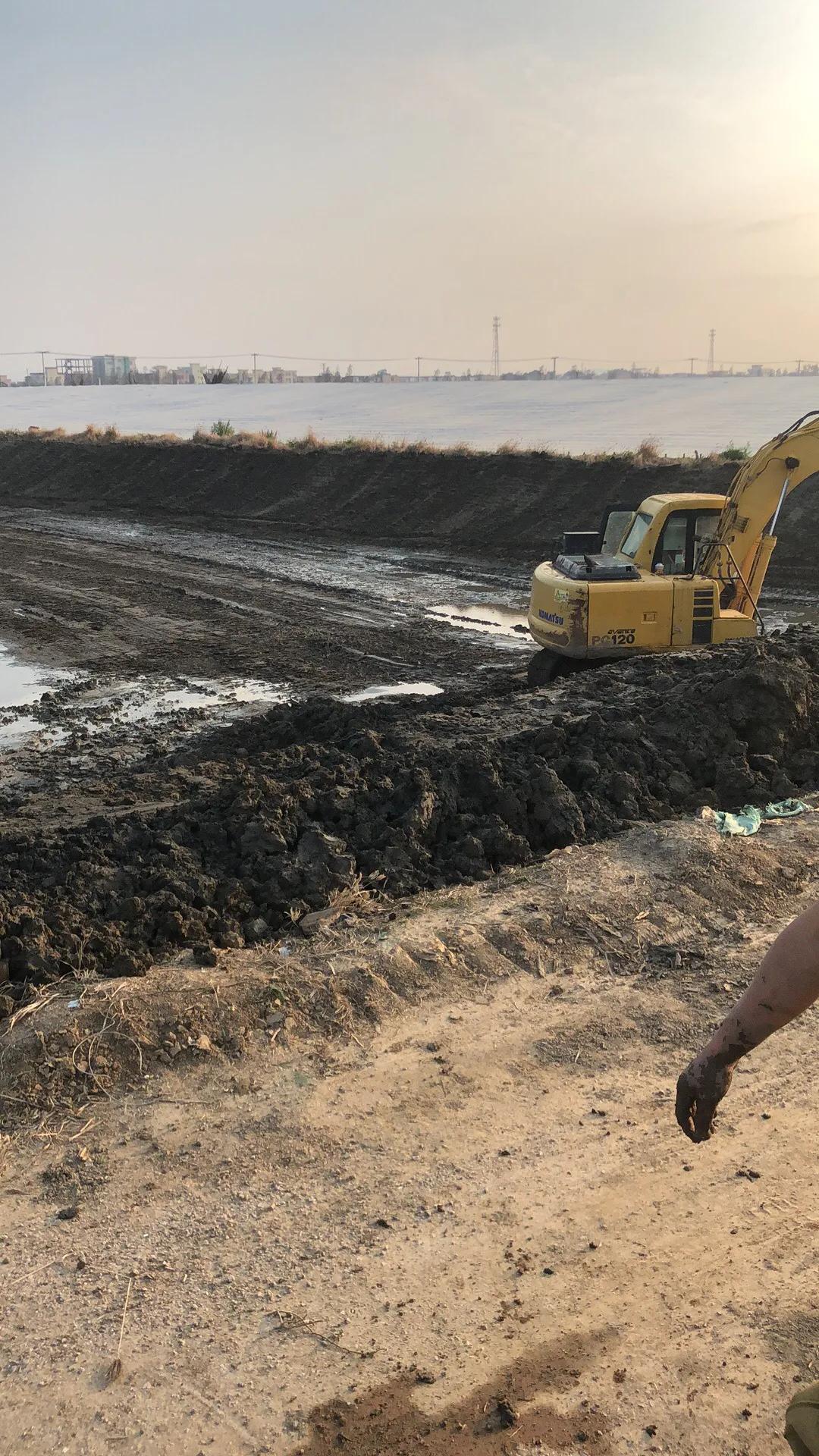 南美白对虾养殖技术大全图解,南美白对虾养殖条件和方法图