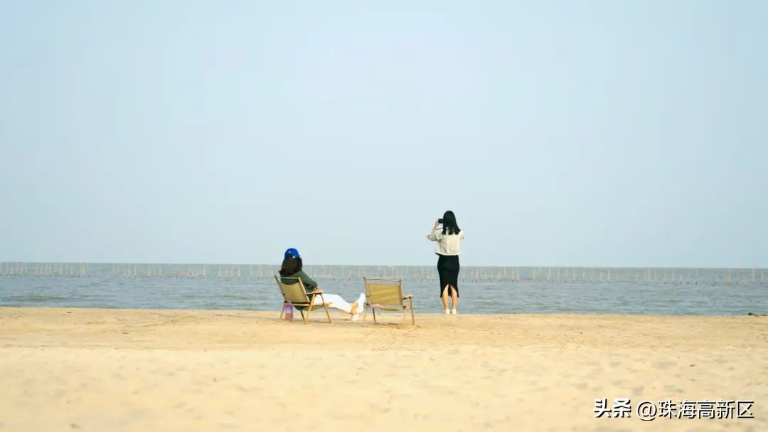 遛娃必看！这些春日色彩，就藏在高新区的公园里…