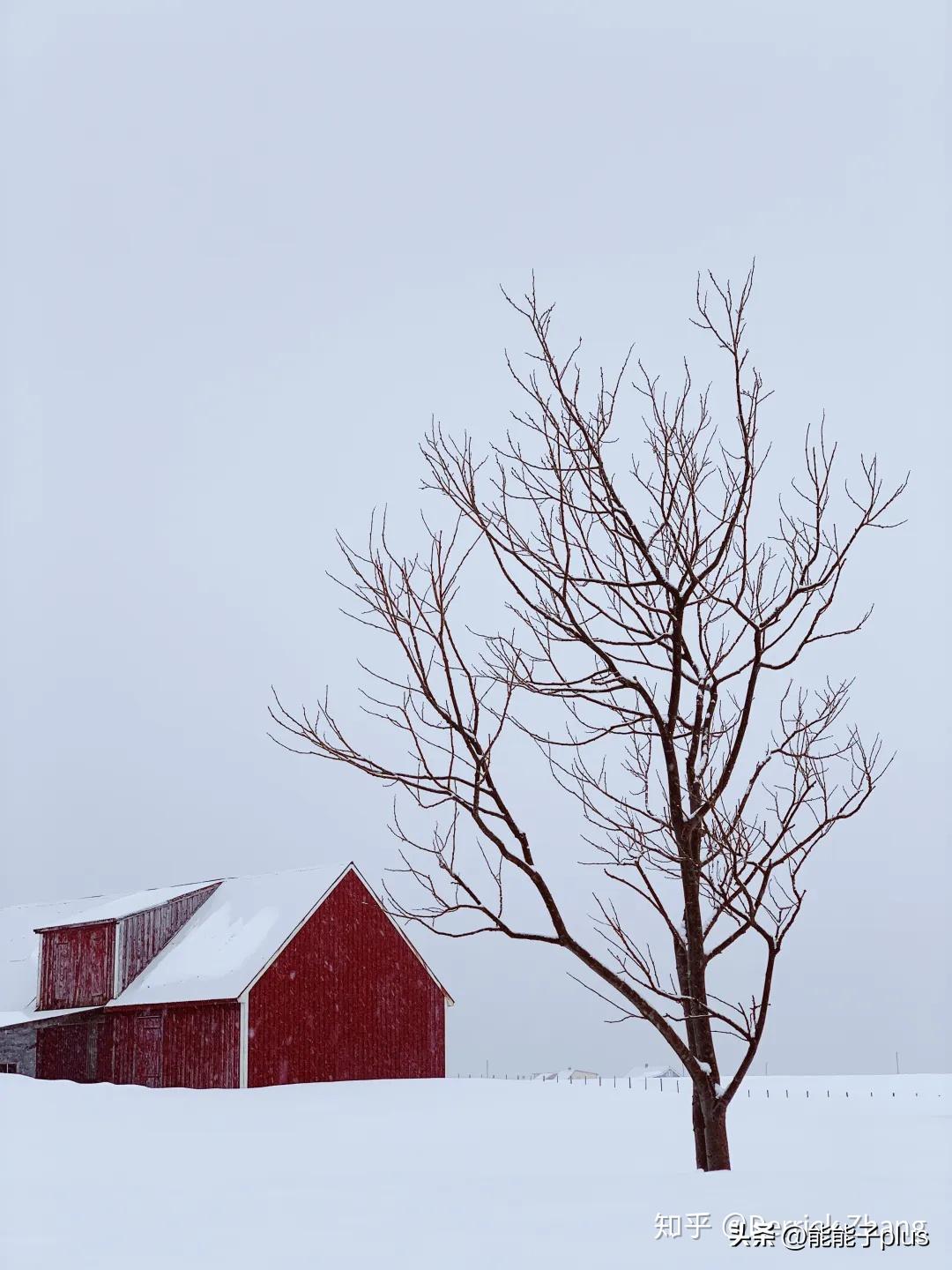 iphone12相机美颜怎么开,iphonex相机最佳设置