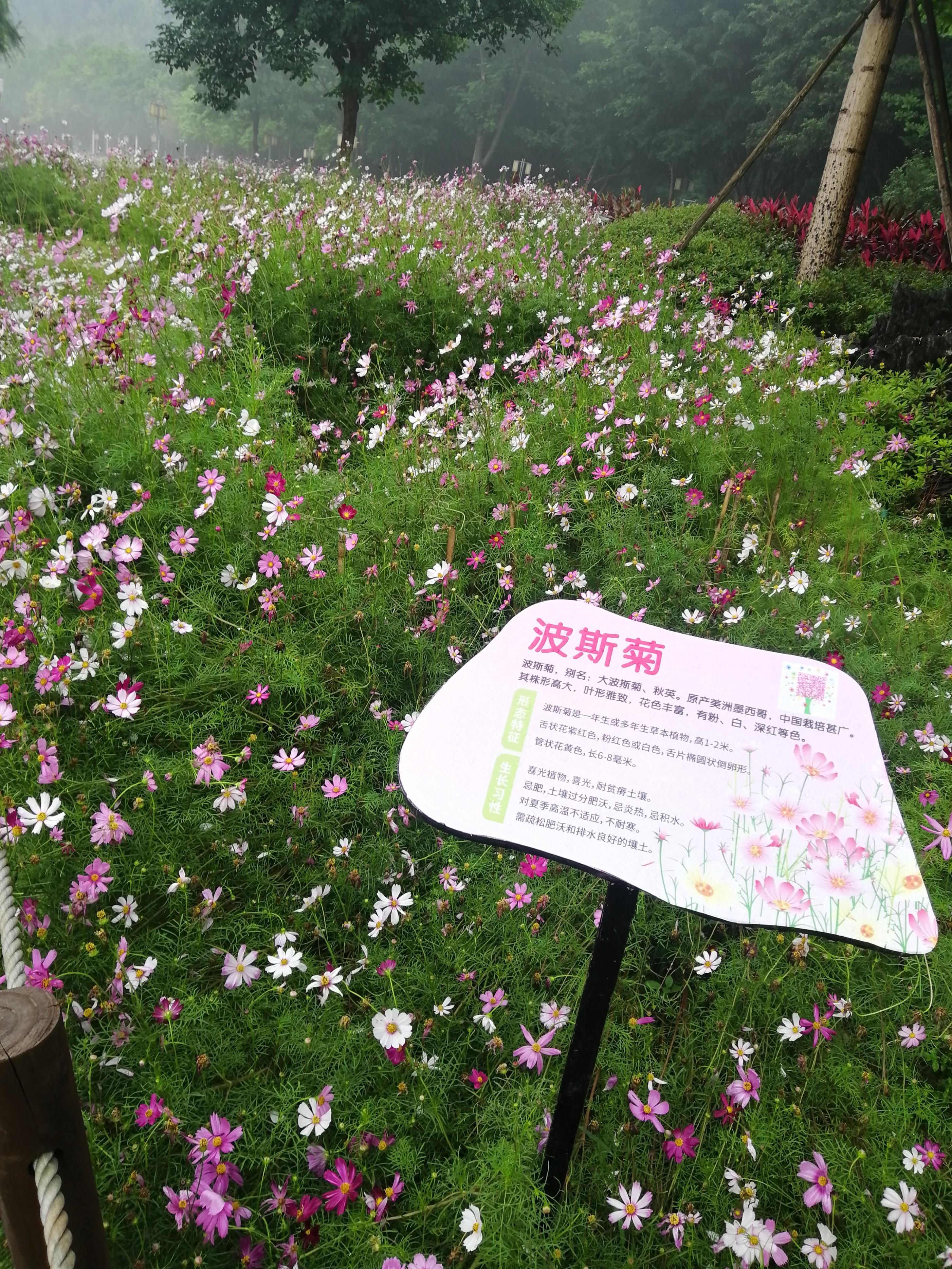 打卡广州地铁7号线,打卡广州最美7公里