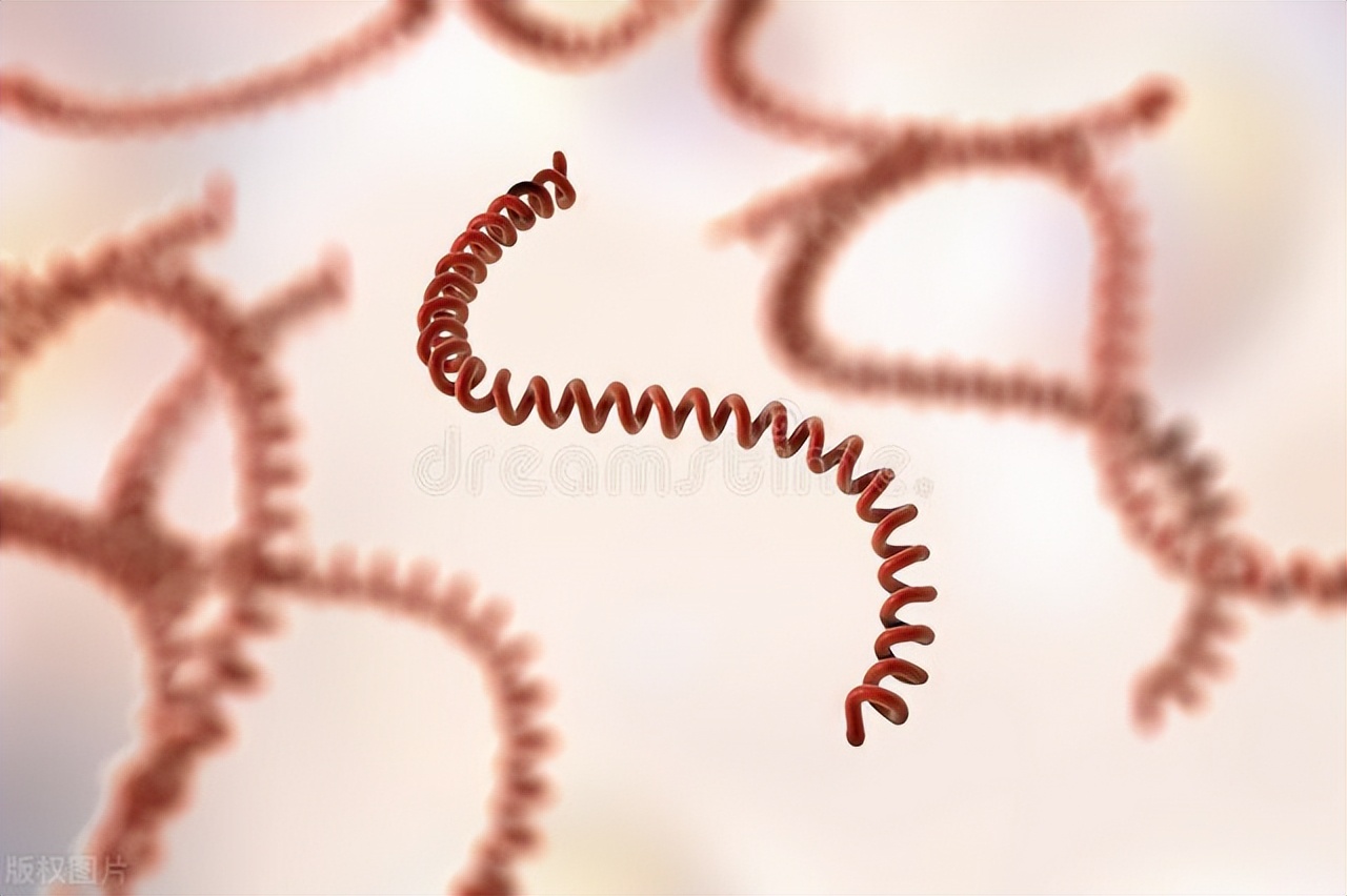 差点被梅毒坏灭的民族，50年代刚生下孩子查出梅毒，怪丈夫不检点