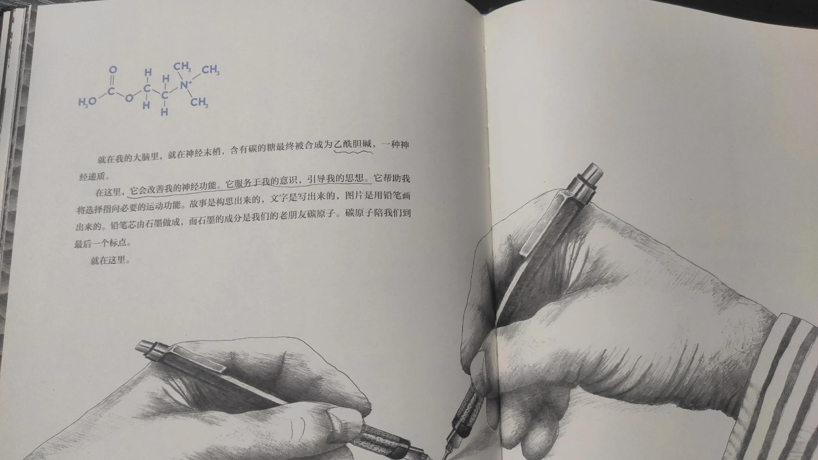 元素周期表揭示了物质世界的秘密,一个原子的旅行绘本