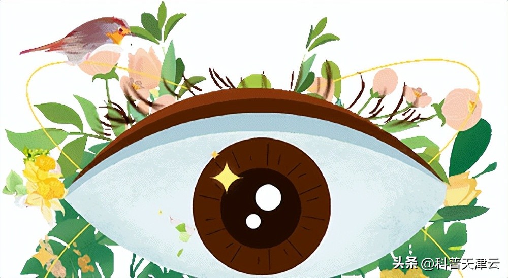 爱眼小知识科普视频,爱眼小常识让你的眼睛更迷人