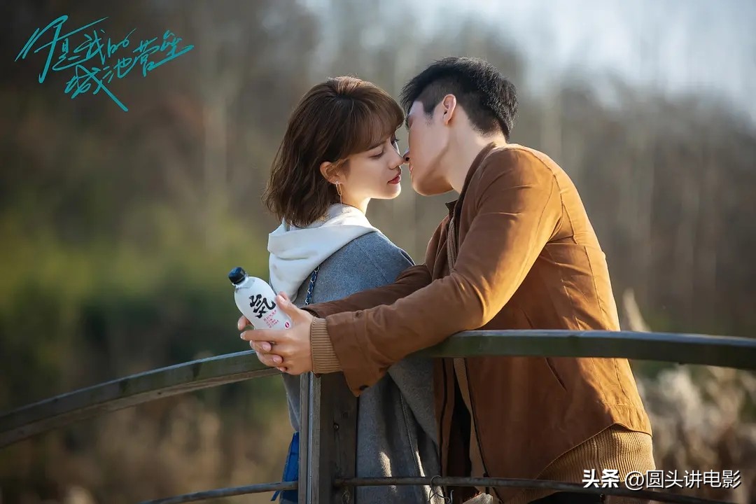 四部甜到腻的爱情剧,五部言情剧越看越甜你看过哪些