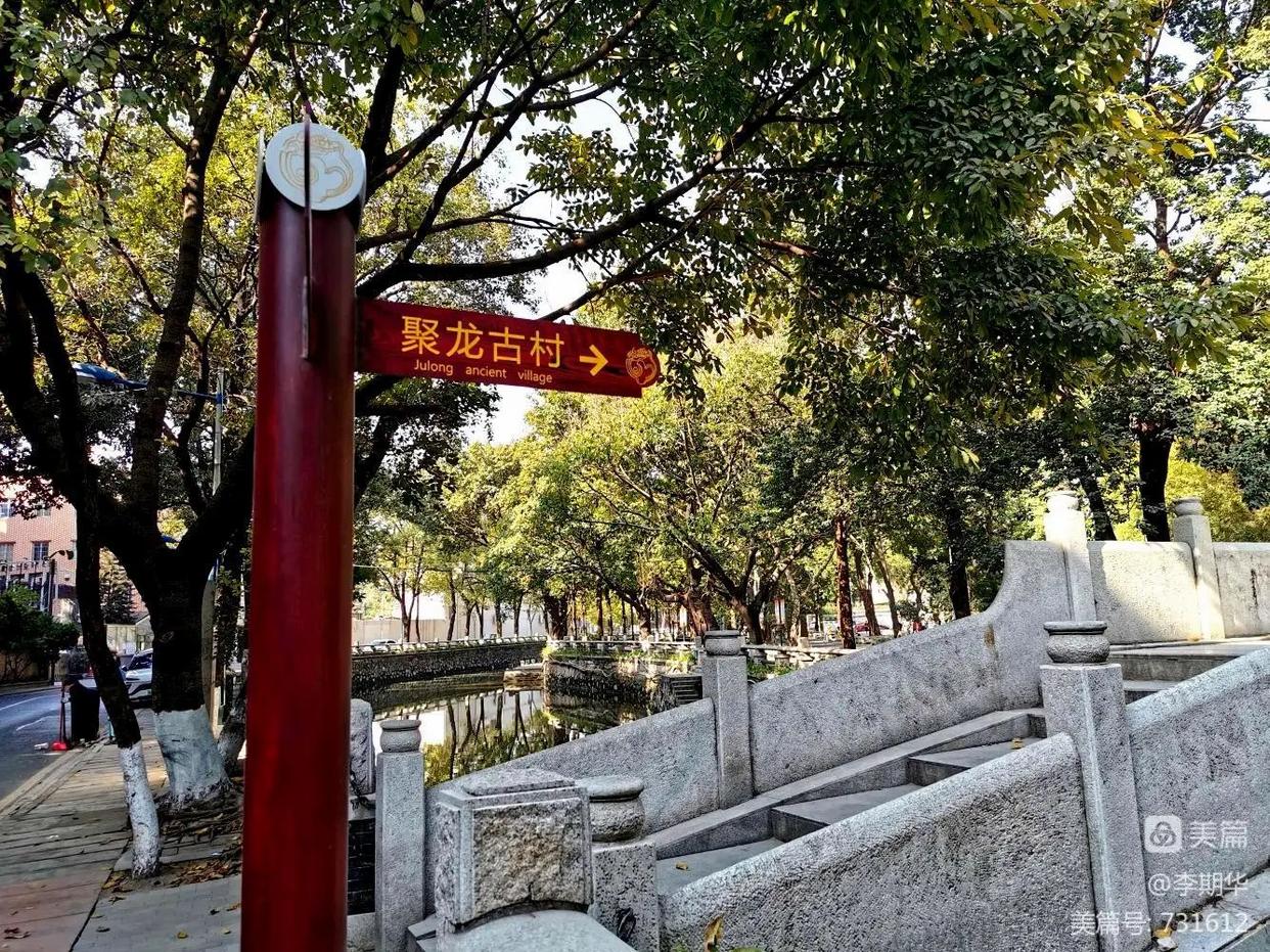 广州金沙洲日本风情打卡地点,广州最新网红打卡点新晋港风