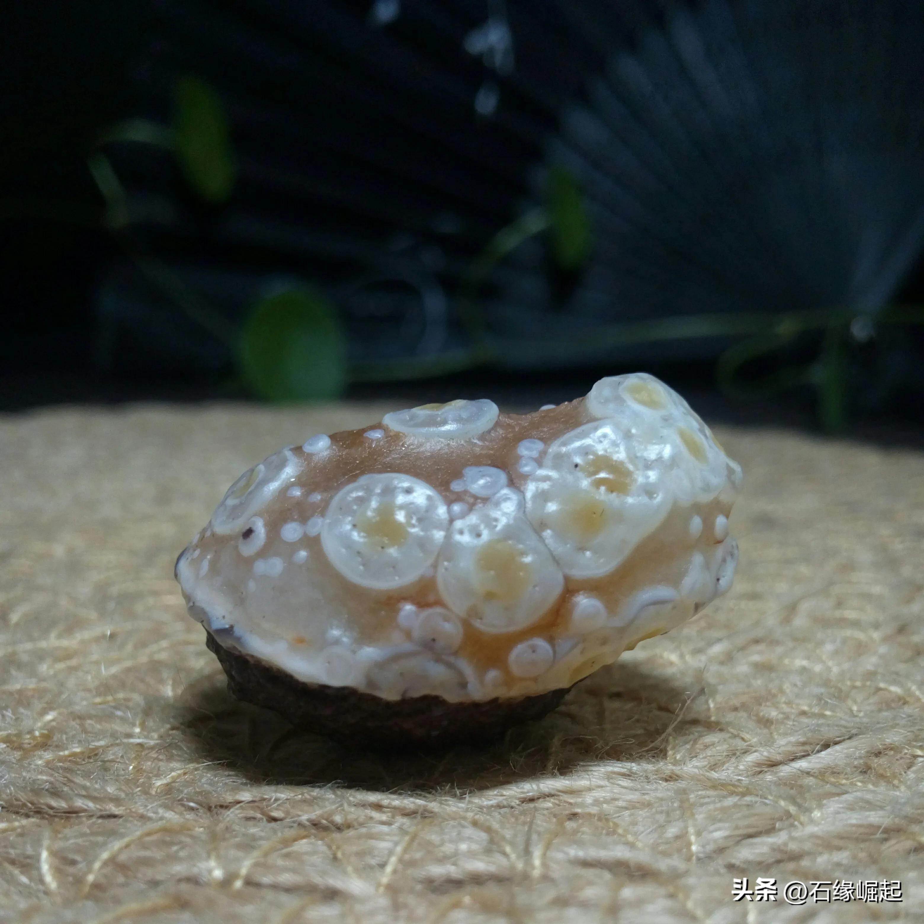 一块小小的石头也能让你这么开心 (一块小小的石头怎么敢这么滑)