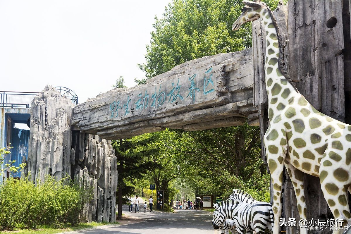 合肥周边地区有哪些旅游景点,合肥周边旅游景点推荐排名榜最新