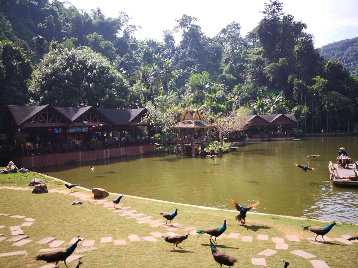 云南旅游养老最好的地方,云南适合养老居家的地方