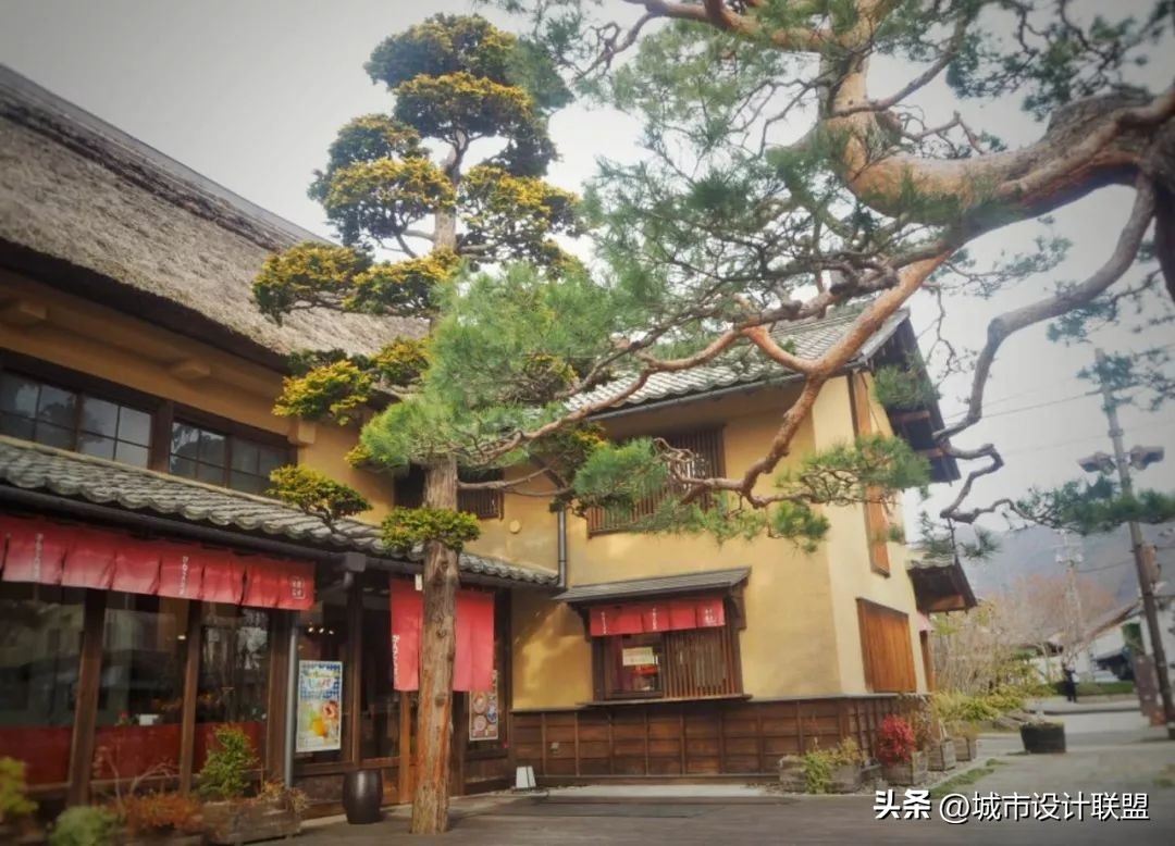 乡村振兴和乡村治理典型经验,乡村治理的发展与创新