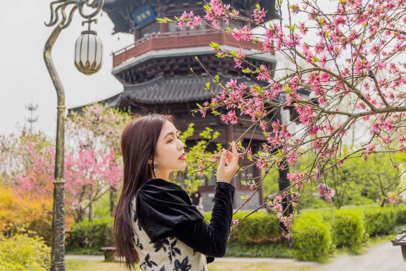 春日下江南杭州,泰州一日游攻略美食
