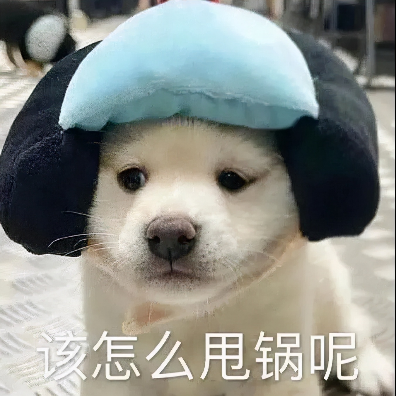 你说不喜欢我表情包我就删了,你为什么把我删了表情包