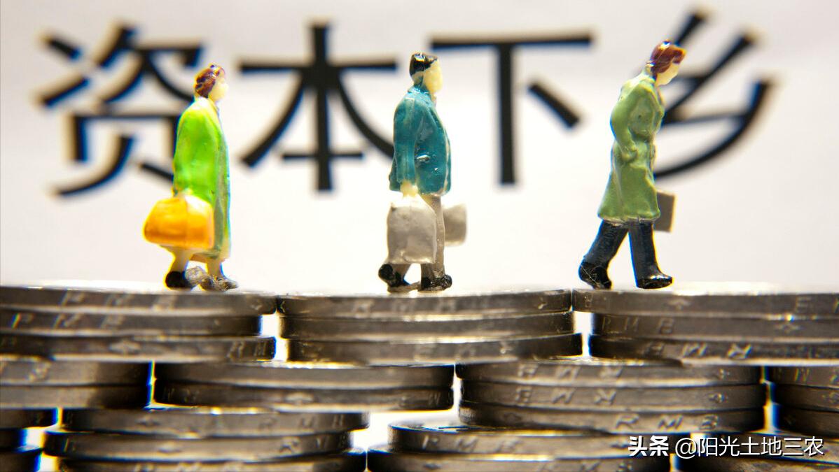 关于2022年乡村振兴的优惠政策,桂东县2022年乡村振兴项目