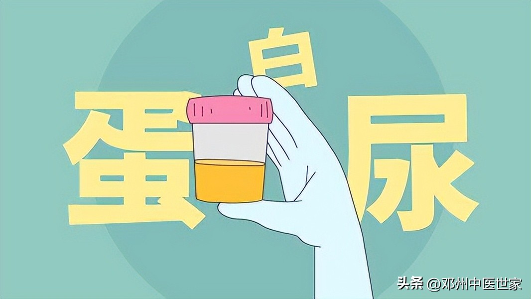 治慢性肾炎蛋白尿的老中医,经方治疗肾炎蛋白尿