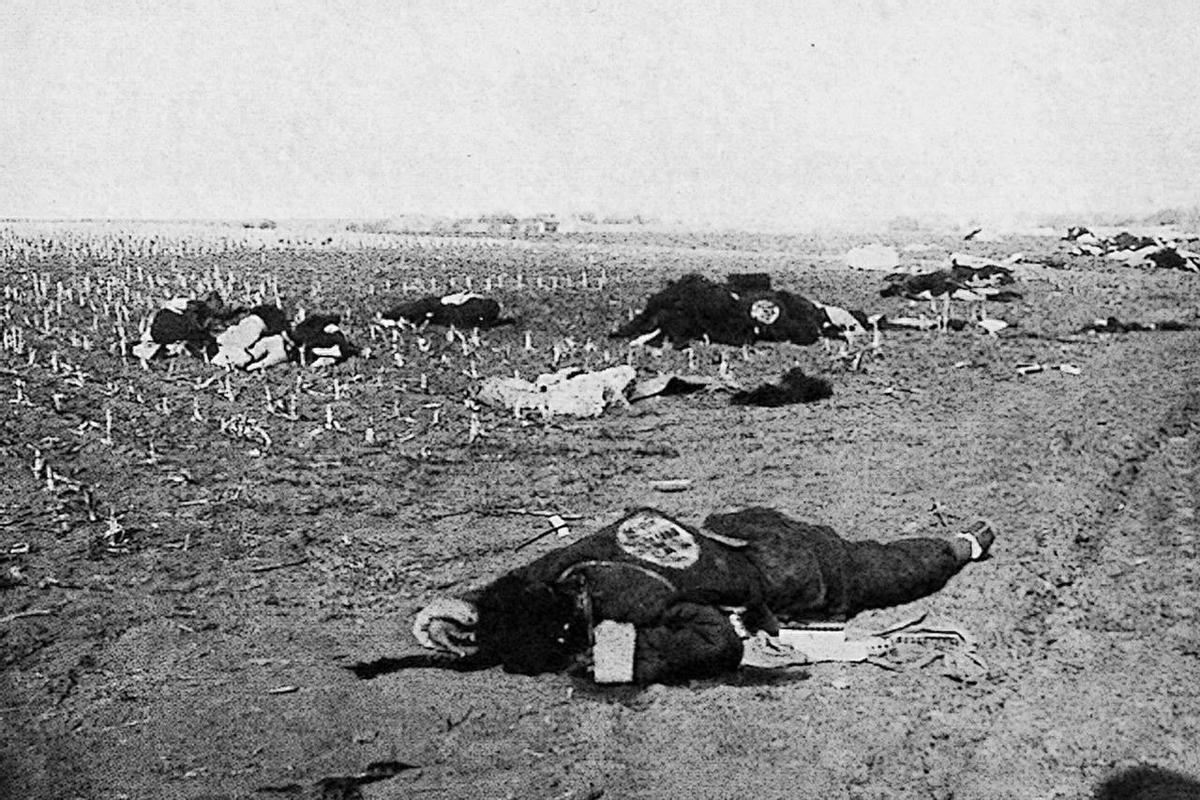 鏃ユ湰渚靛崕鍏借鐓х墖,鏃ュ啗渚靛崕鍏借