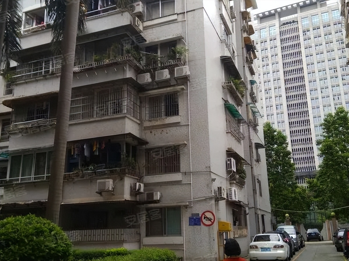 粤剧、醒狮、武术、科技……TA有39个宝藏社团？