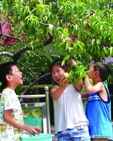 国展书法高手大字视频,国展高手的行书创作取法