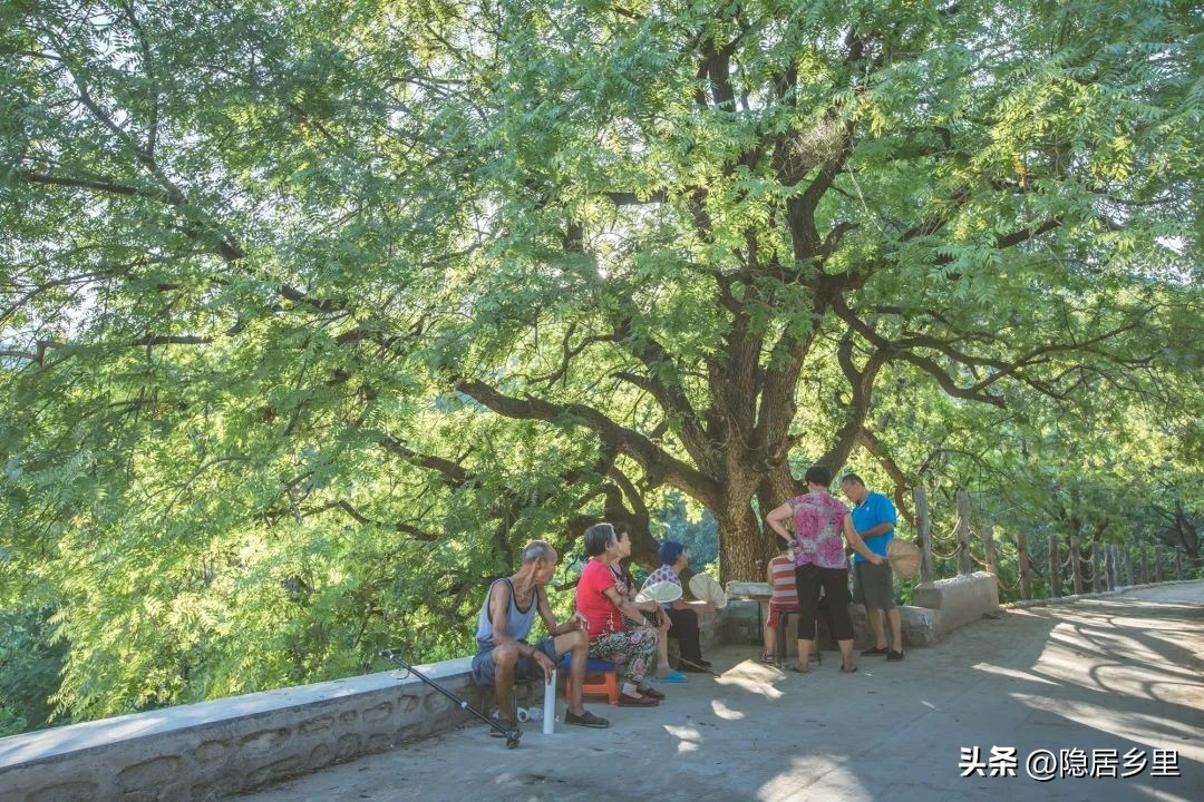 浪漫婚礼风民宿,很火的民宿婚礼