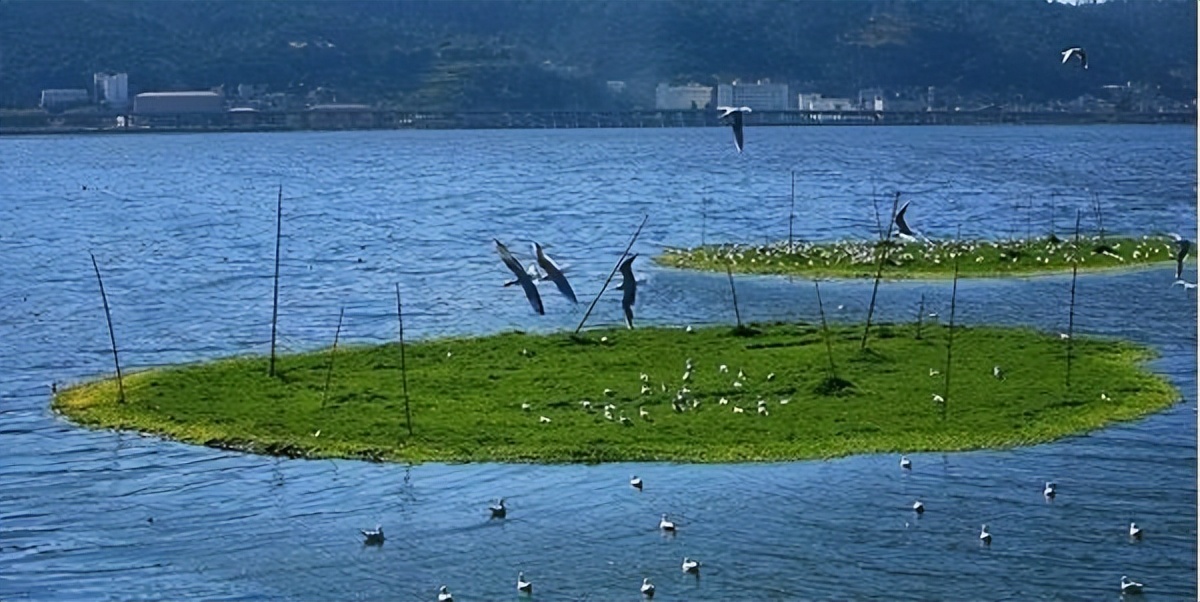 红军长征过草地的事件,红军长征的草地是现在的什么地方