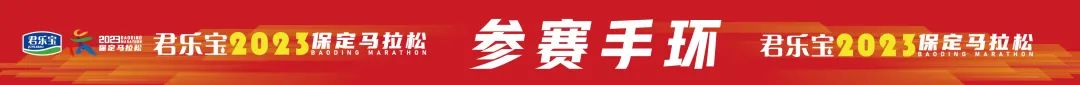 保马参赛,马保国赛前提醒