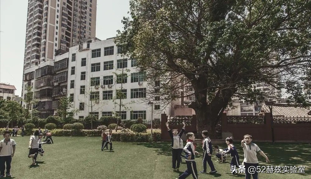 6800美元被扣！但林兰英却毅然带药回国，助力中国半导体发展