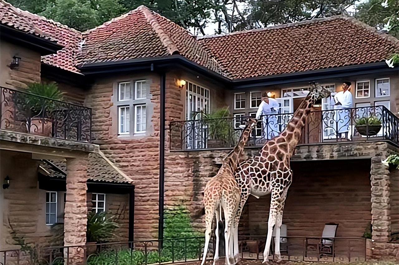 “非洲土皇帝”王垚，生活奢靡居然还被官媒表扬，背后果然不简单