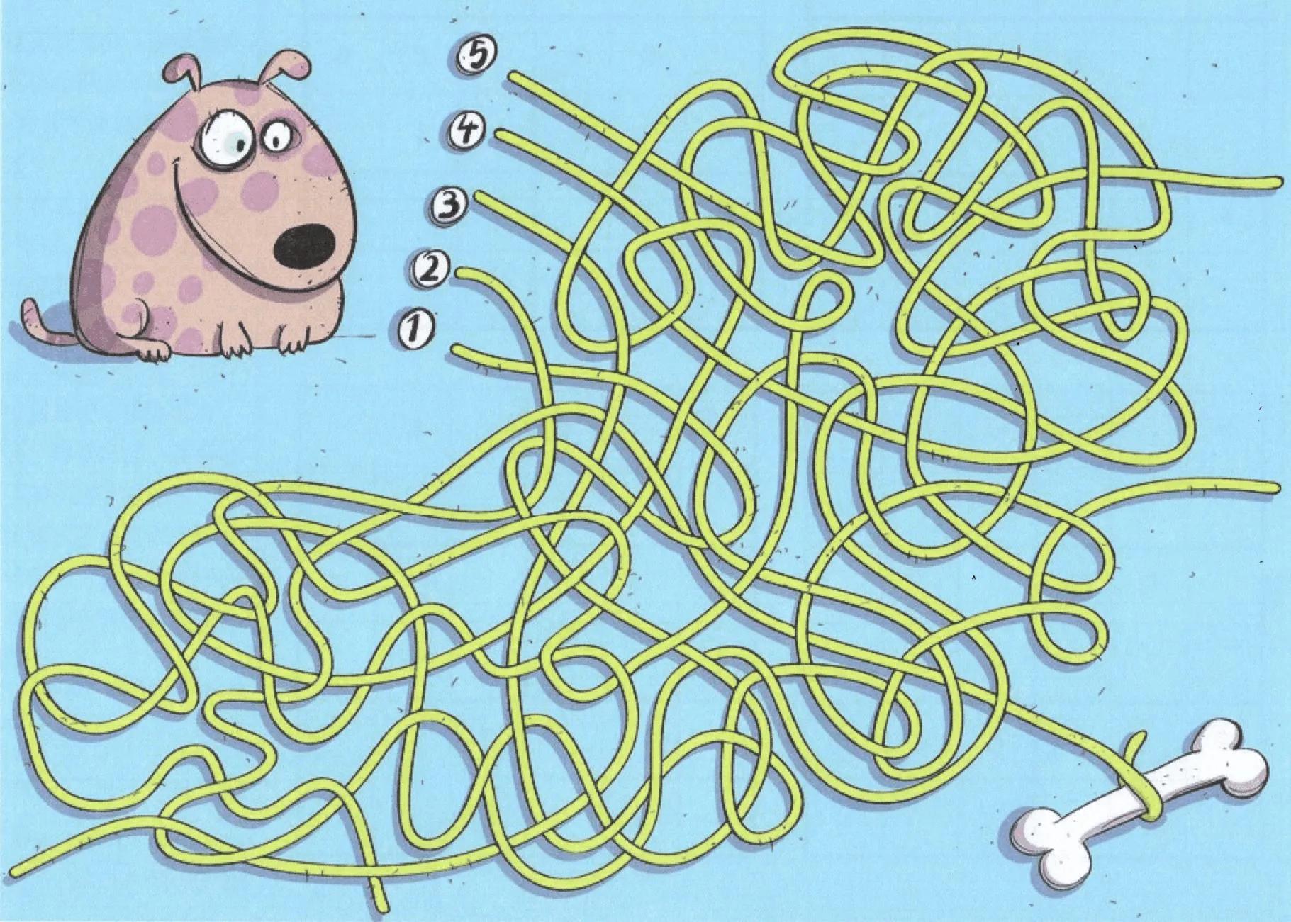 开发右脑的十种方法,开发右脑的小方法