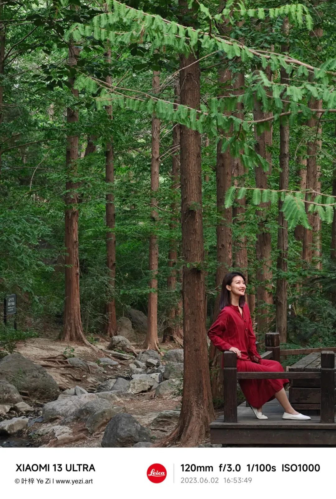 什么是画面中的点缀色？－摄影早自习第2145天