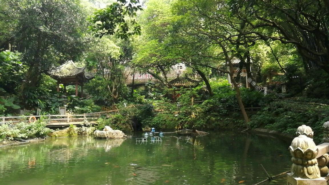 广州一日游最佳路线免费好玩景点,广州游玩景点一日游推荐路线