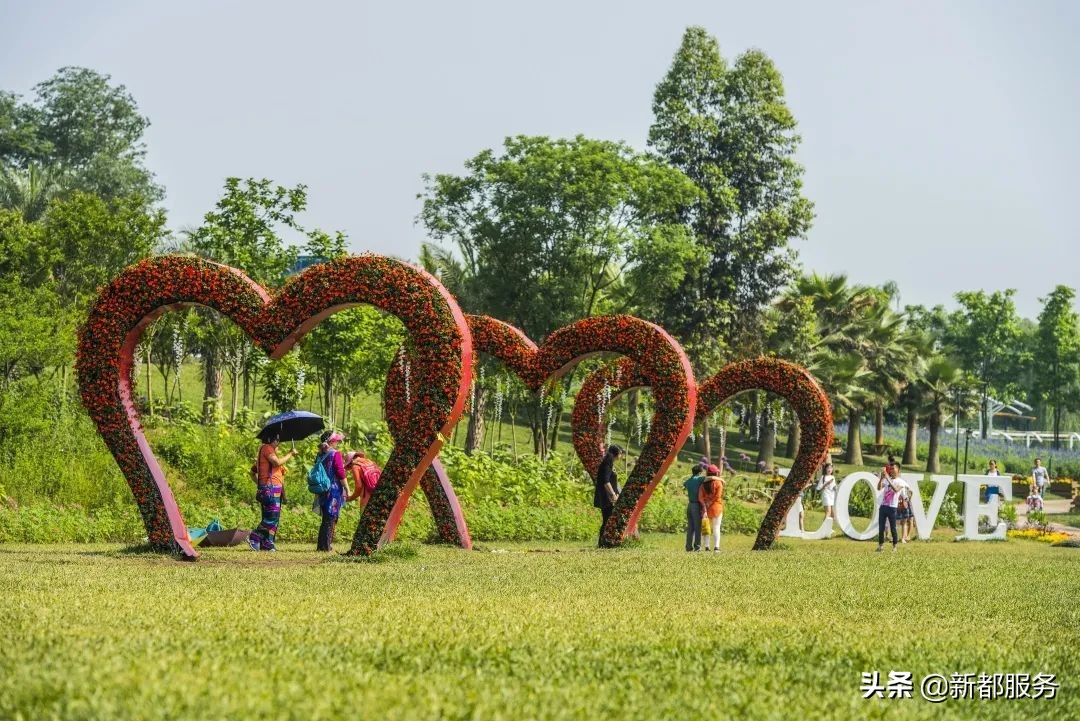 新都是镇还是区啊,什么是幸福的文案